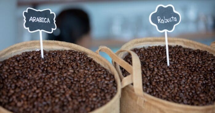 Aká zrnková káva je kvalitnejšia – robusta alebo arabika?